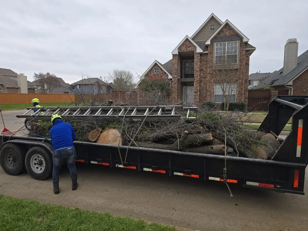 Expert Tree Pest Control with proper safety equipment in Wales Center